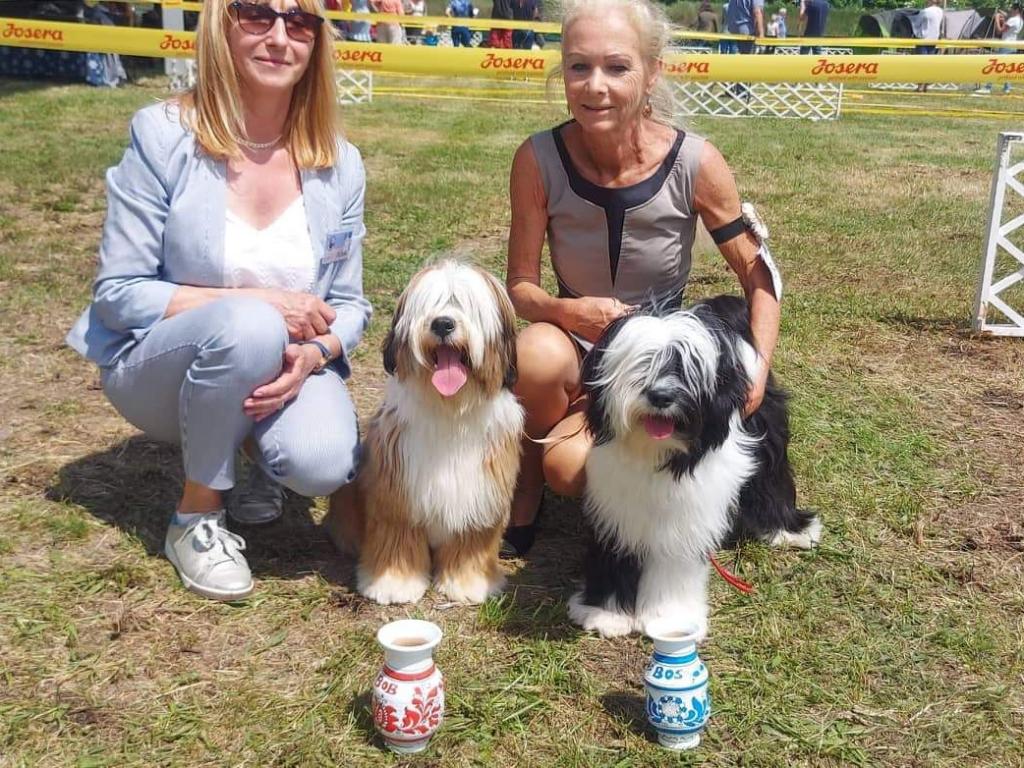 Fotos-Ausstellungen-HJCH, HCH Araki Mystical Illusion-AMI 10