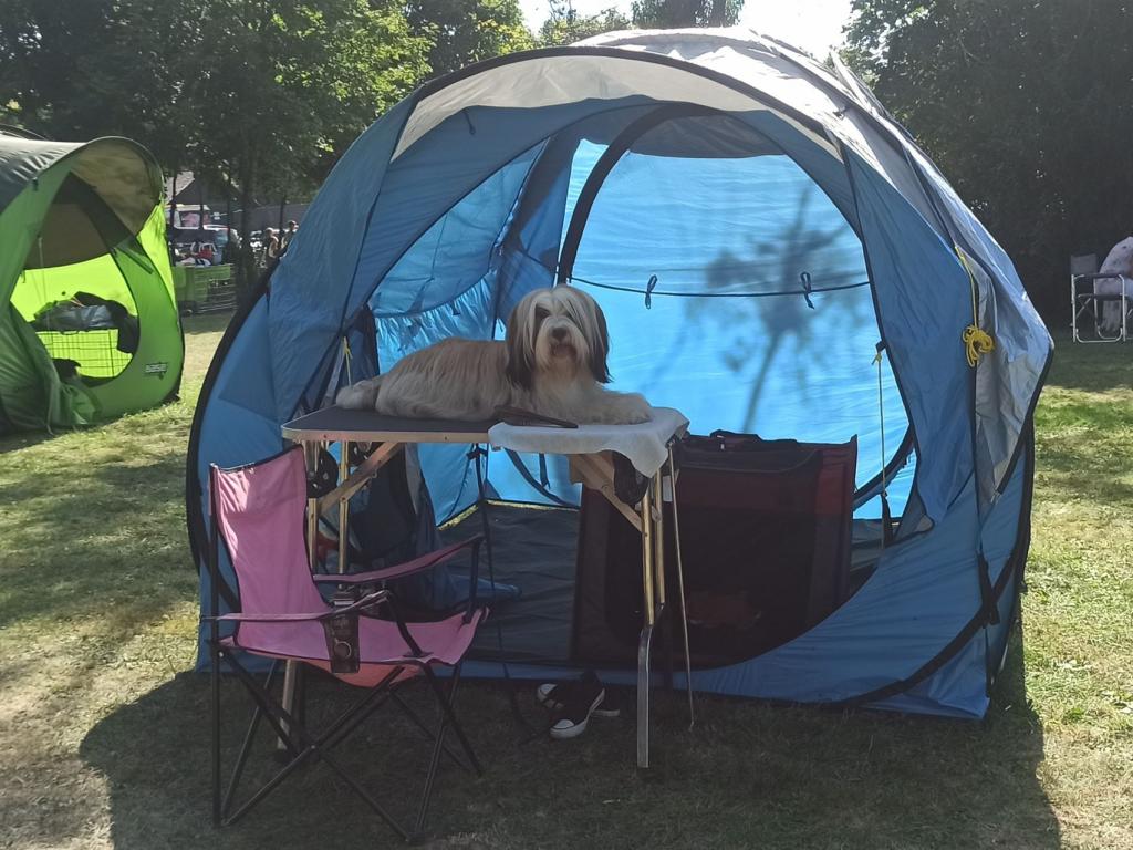 Fotos-Ausstellungen-HJCH, HCH Araki Mystical Illusion-AMI 11