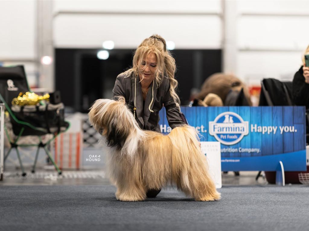 Fotos-Ausstellungen-HJCH, HCH Araki Mystical Illusion-AMI 2