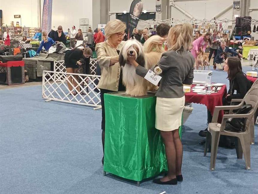 Fotos-Ausstellungen-HJCH, HCH Araki Mystical Illusion-AMI 8