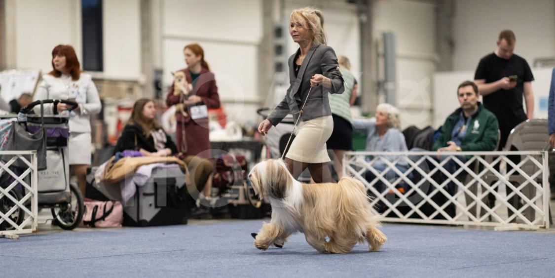 Fotos-Ausstellungen-HJCH, HCH Araki Mystical Illusion-AMI 9