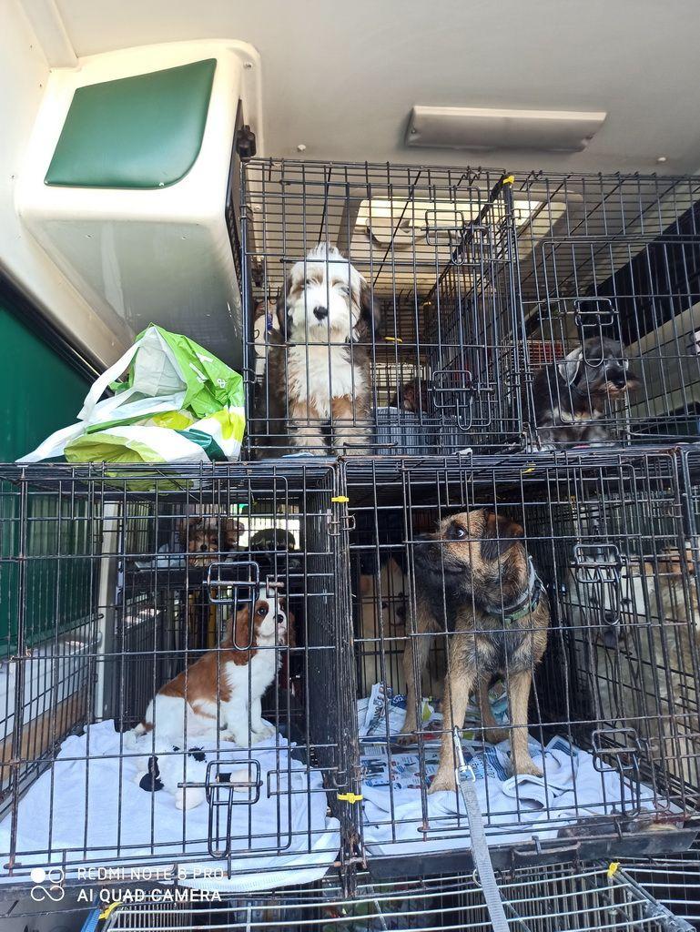 Tinghsa Bells Reise_1024