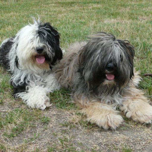 TinghsaBells_TinsaUndManu_002