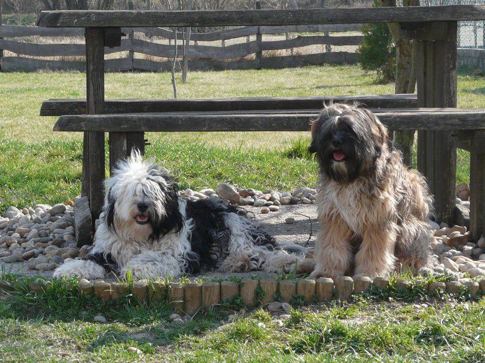 TinghsaBells_TinsaUndManu_011