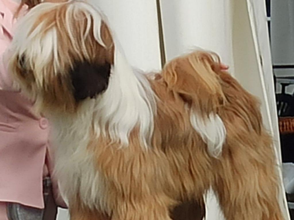 Araki Mystical Illusion 6