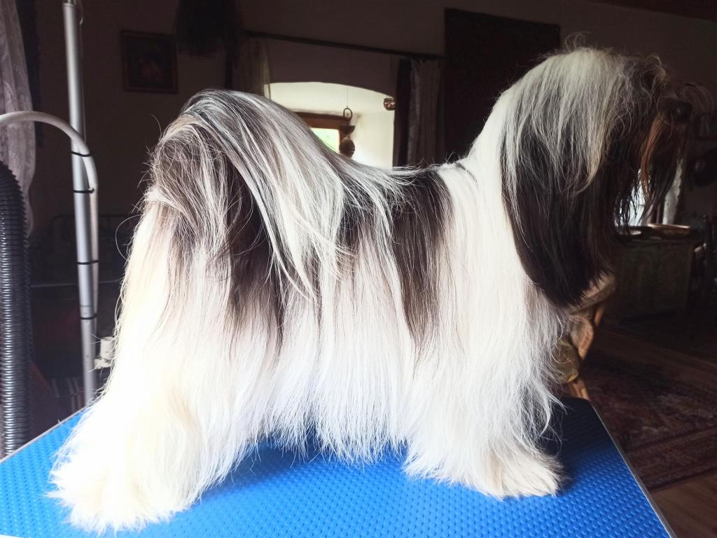 IMG_20230426_123641_3