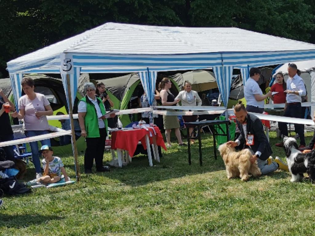 Tinghsa Bells It Girl 9