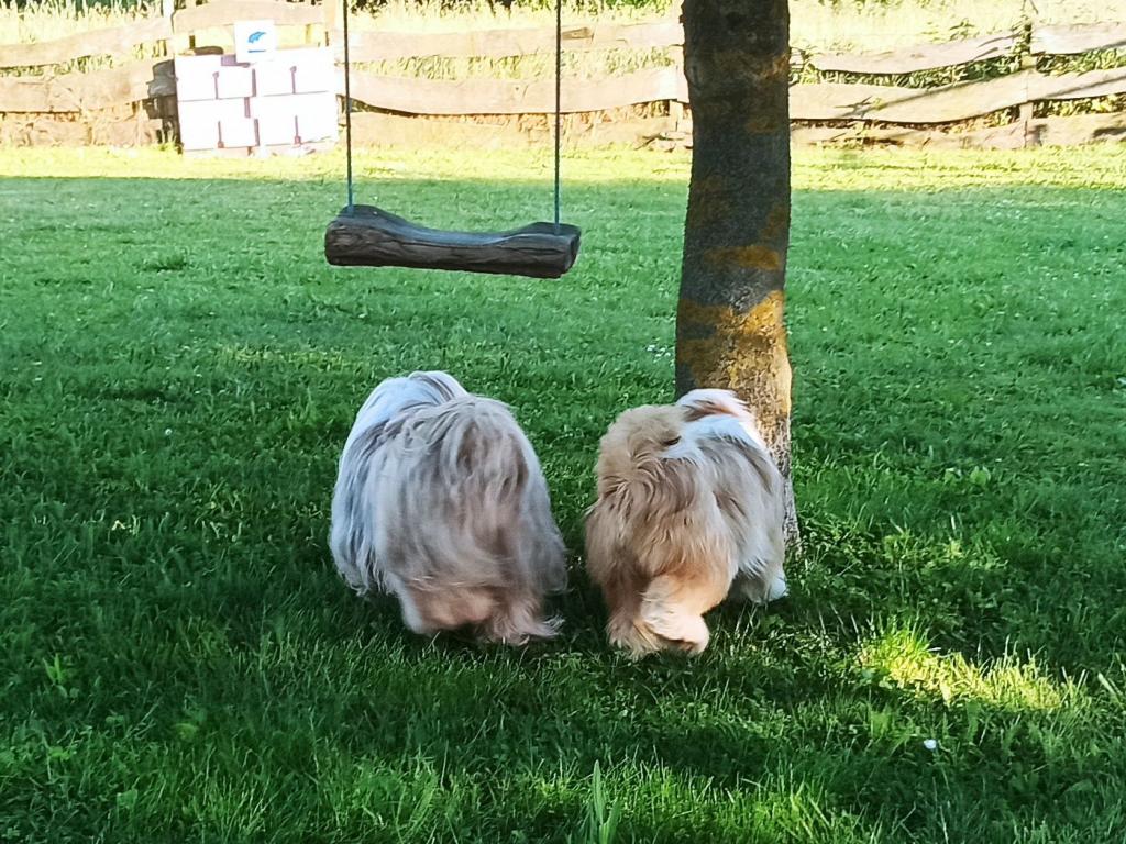 IMG_20240518_185938_2