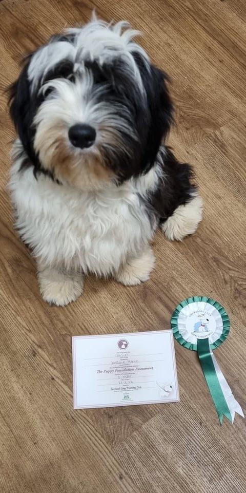 Tinghsa Bells Johnny B. Goode at Araki 03