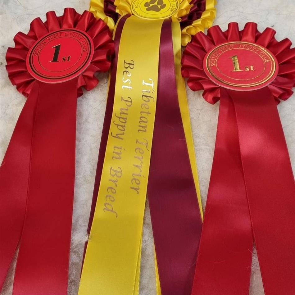 Tinghsa Bells Johnny B. Goode at Araki 04