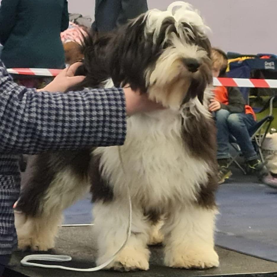 Tinghsa Bells Johnny B. Goode at Araki 05