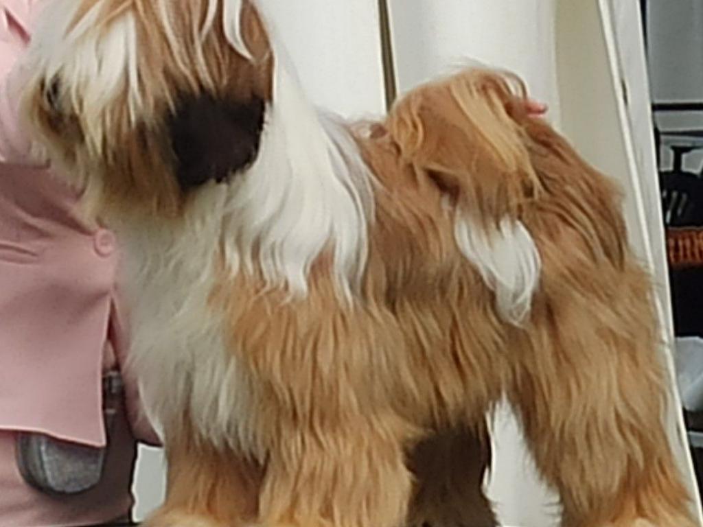 Araki Mystical Illusion 6