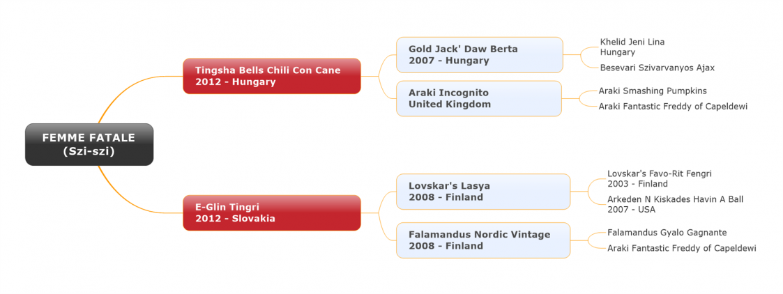 Tingsha Bells Szi-Szi