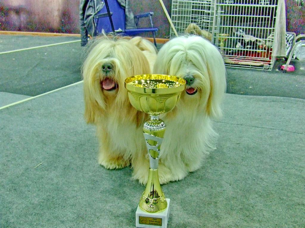 TinghsaBells_Austellung_01_007