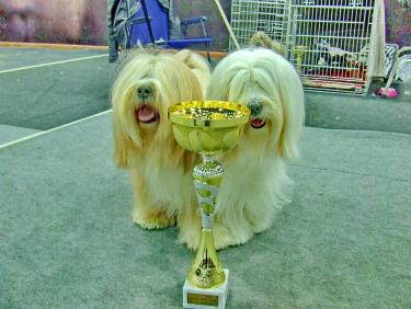 TinghsaBells_Austellung_01_007