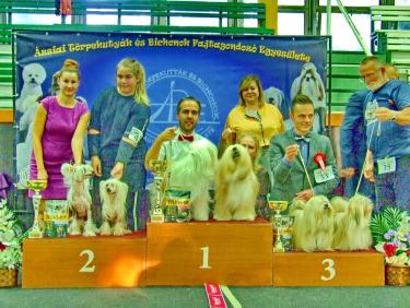 TinghsaBells_Austellung_01_009