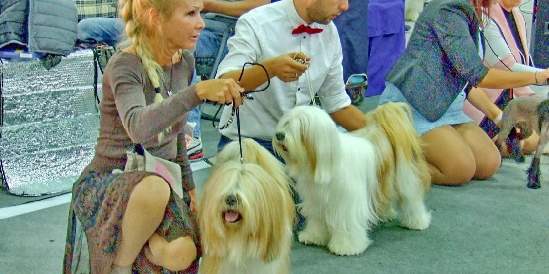 TinghsaBells_Austellung_01_012