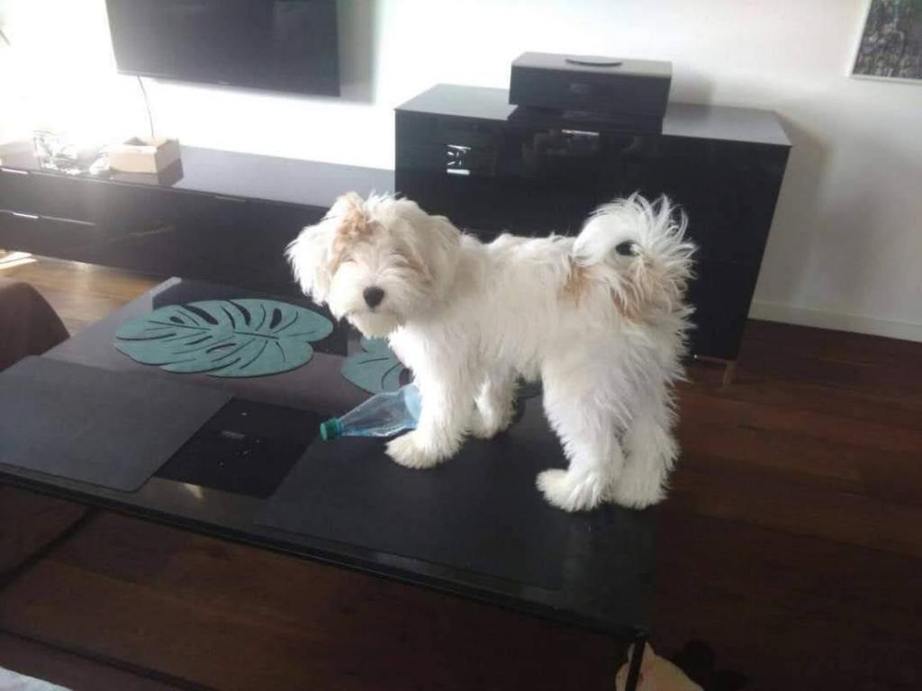 TB Happy Hour Nonstop - Monty 03