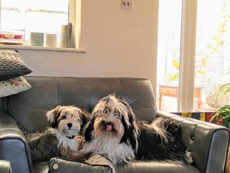 TB Holy Moly - Gi-Gi 03