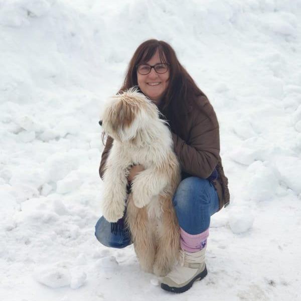 Tinghsa Bells Tibetan Terrier Romie 3