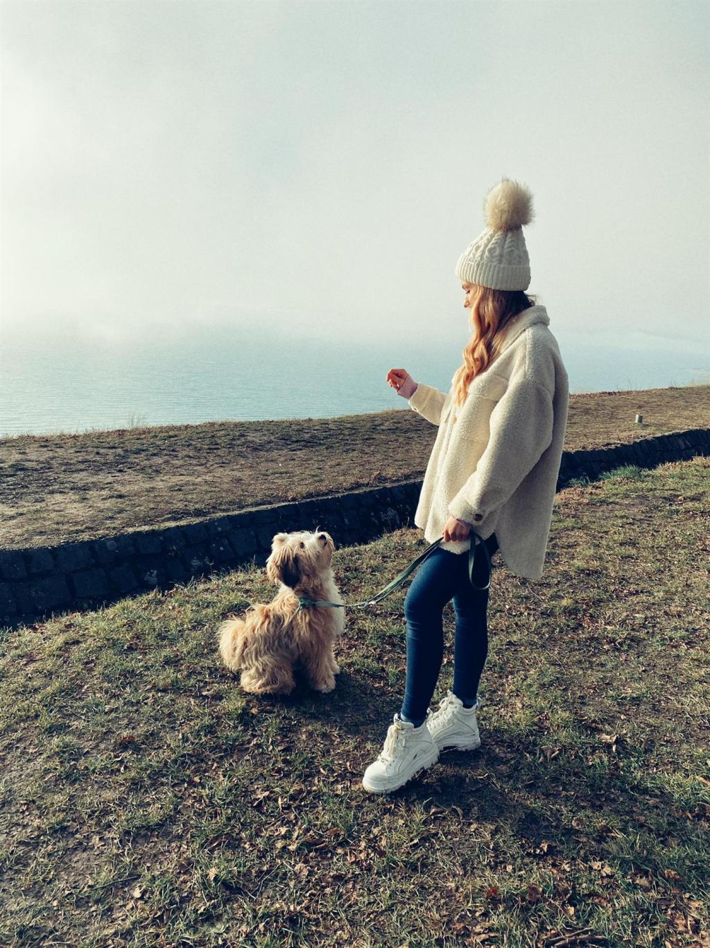 Tinghsa Bells Tibetan Terrier Humusz 2