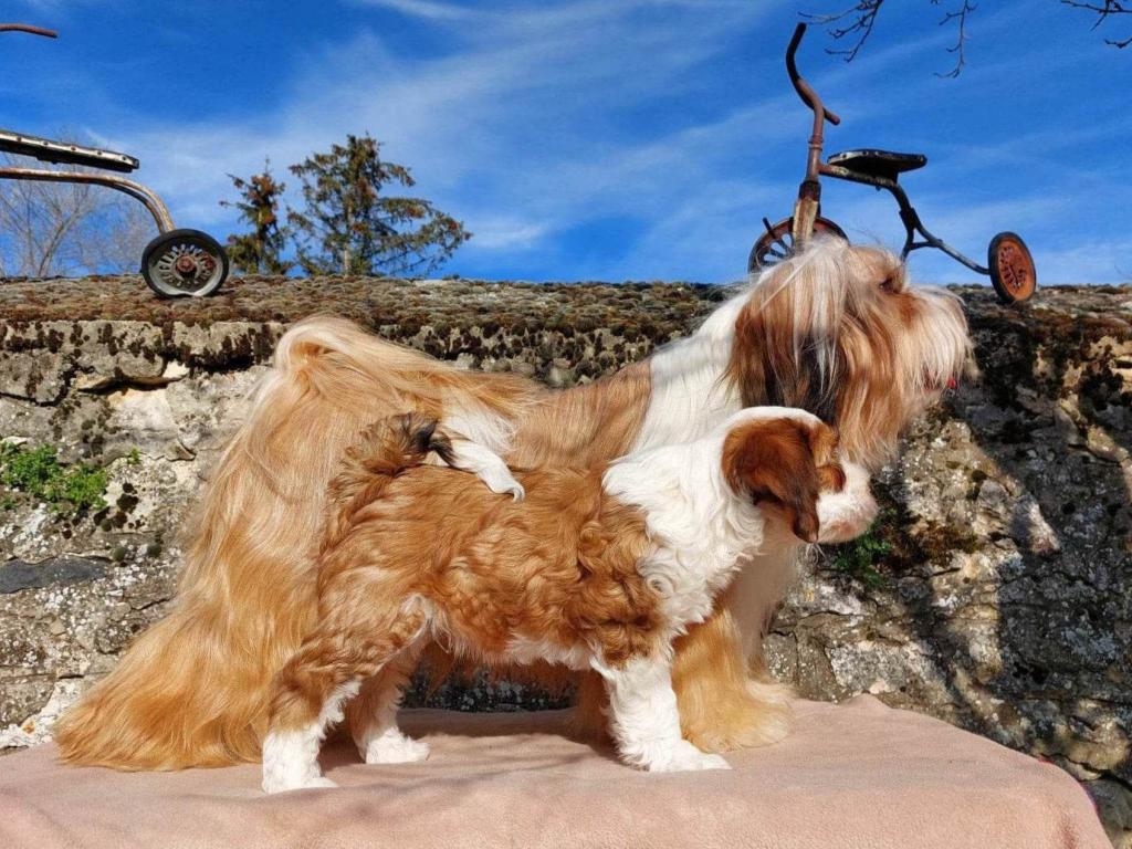 336670625_1193244114663815_3040718367643720694_n