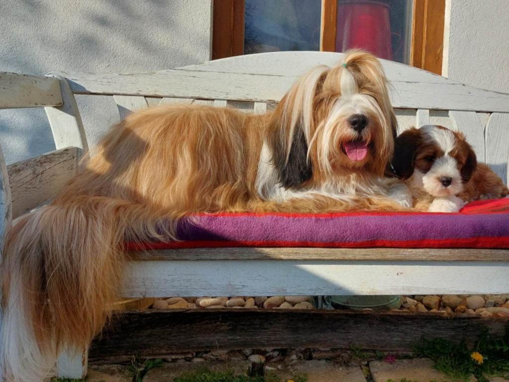 340204436_194620173317297_4409081473389475315_n