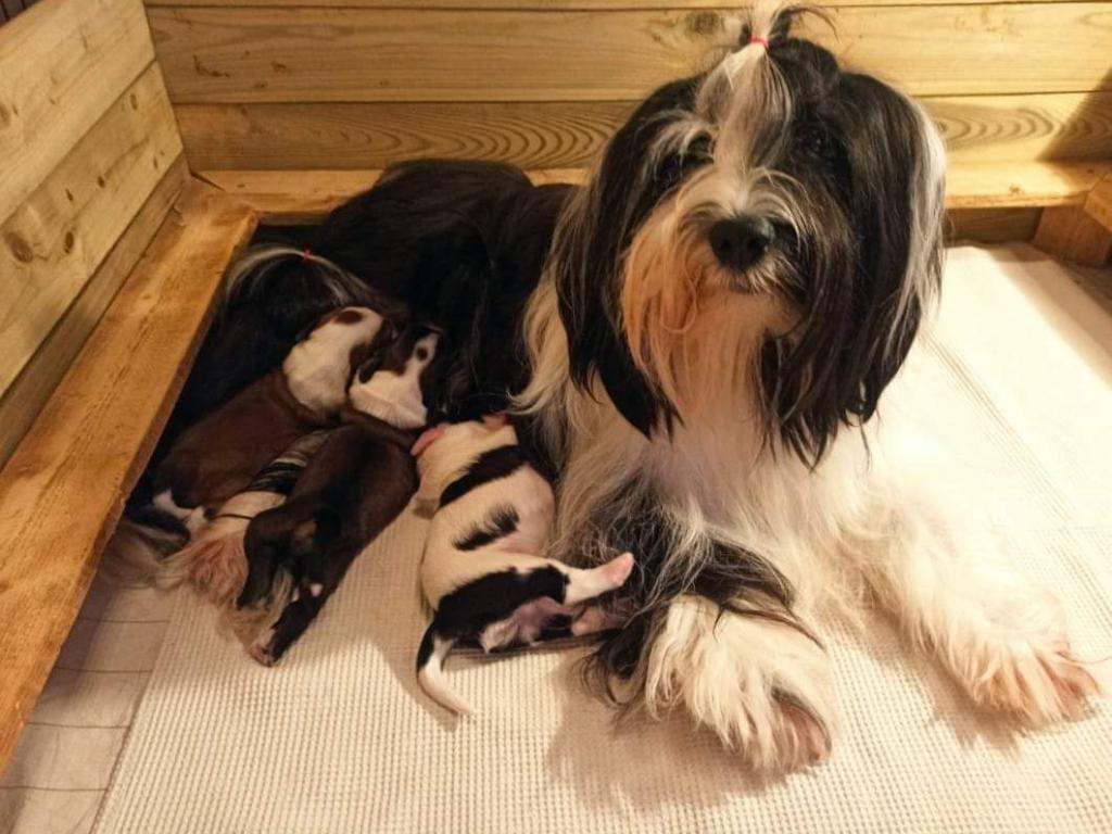 FB_IMG_1679135247759