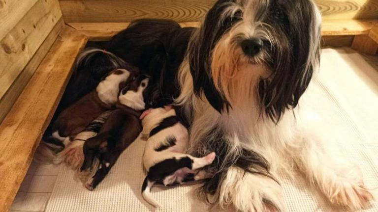 FB_IMG_1679135247759