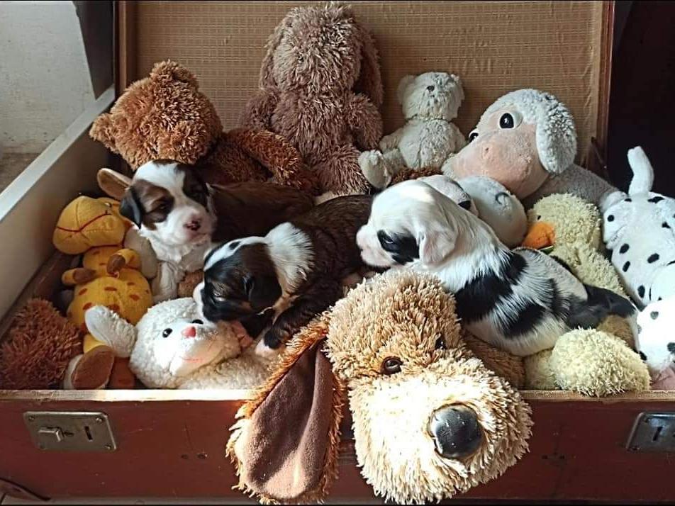 FB_IMG_1679135386445