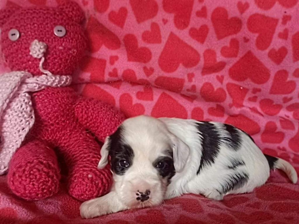 FB_IMG_1679135399215