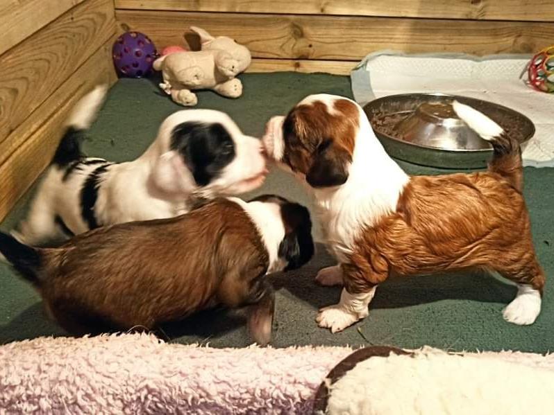 FB_IMG_1679135403399