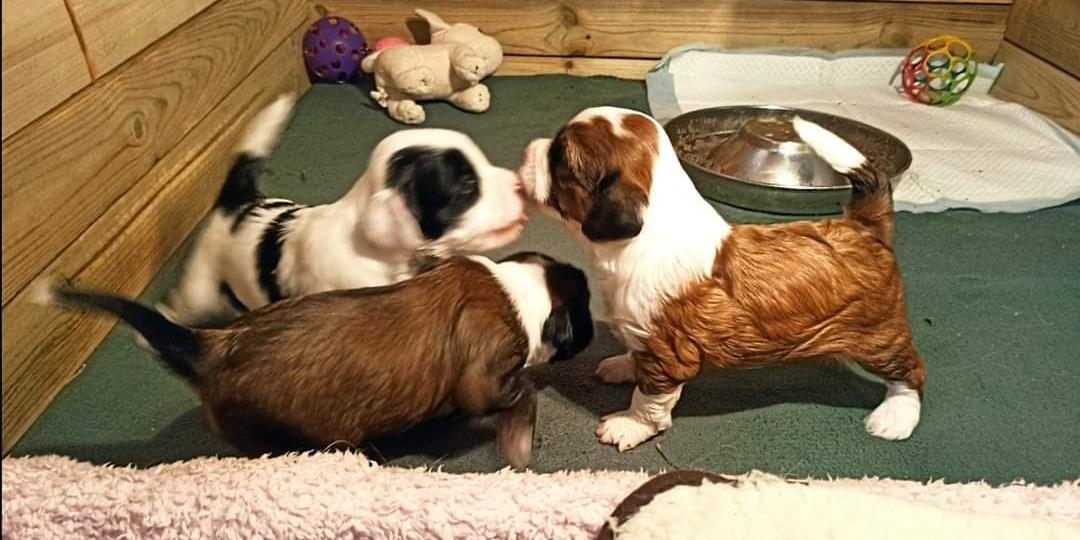 FB_IMG_1679135403399