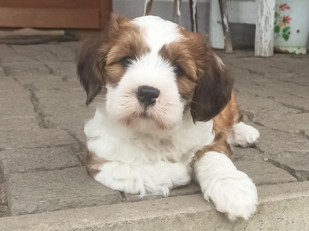 IMG_20230309_125020_2