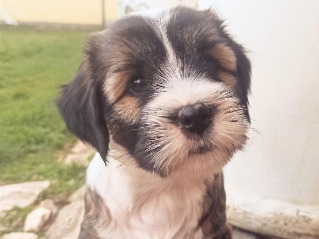 IMG_20230309_171641_2