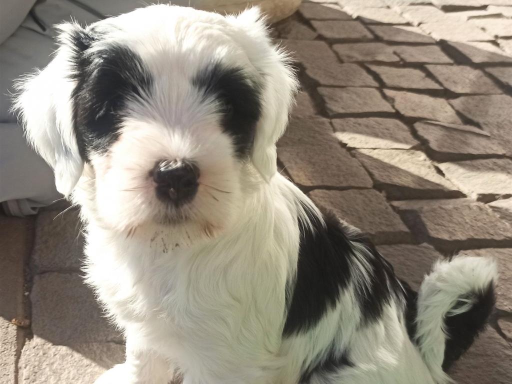 IMG_20230311_150429_3