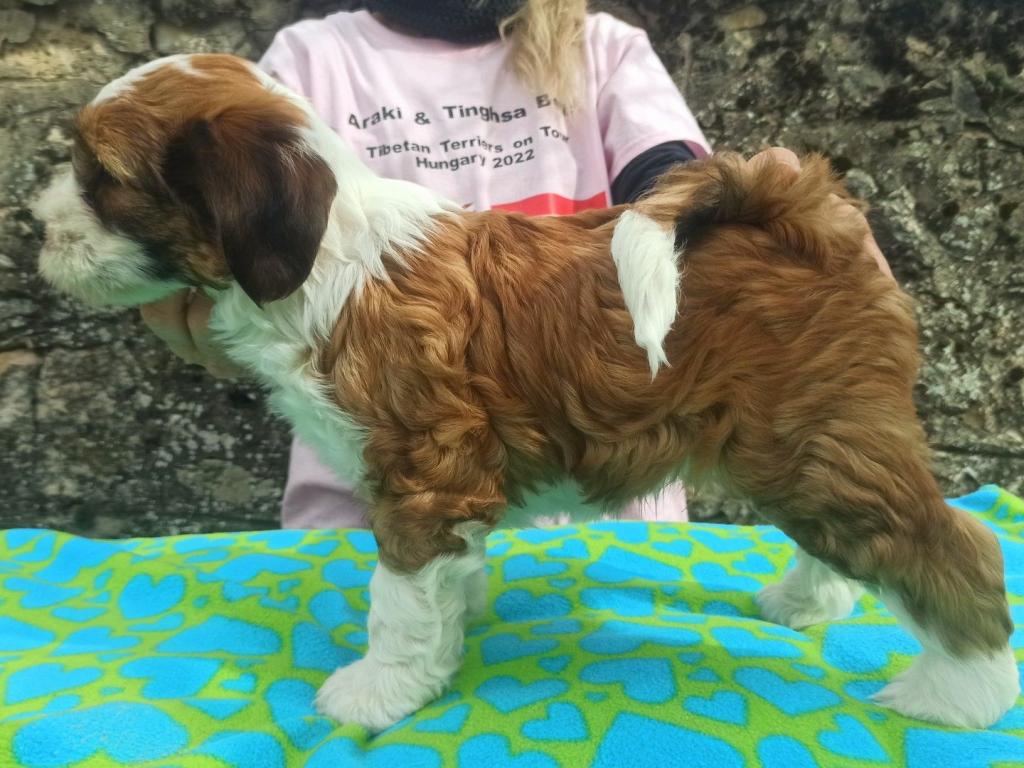 Screenshot_2023-03-09-13-50-17-291_com.google.android.apps.photos_2