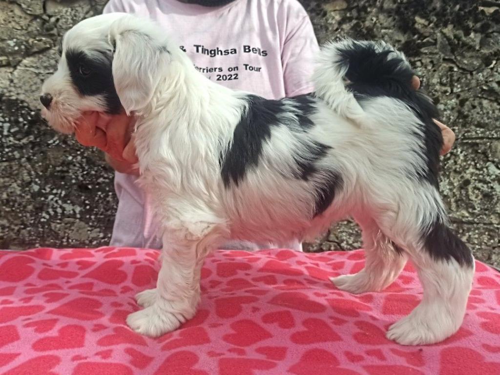 Screenshot_2023-03-09-13-54-18-899_com.google.android.apps.photos_2