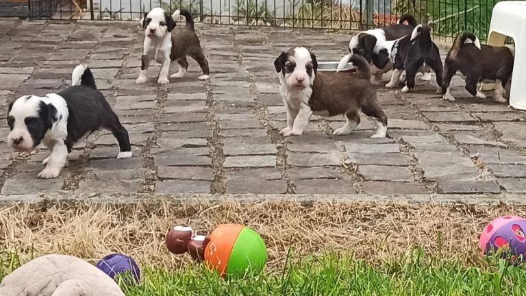 IMG_20230604_172002~2