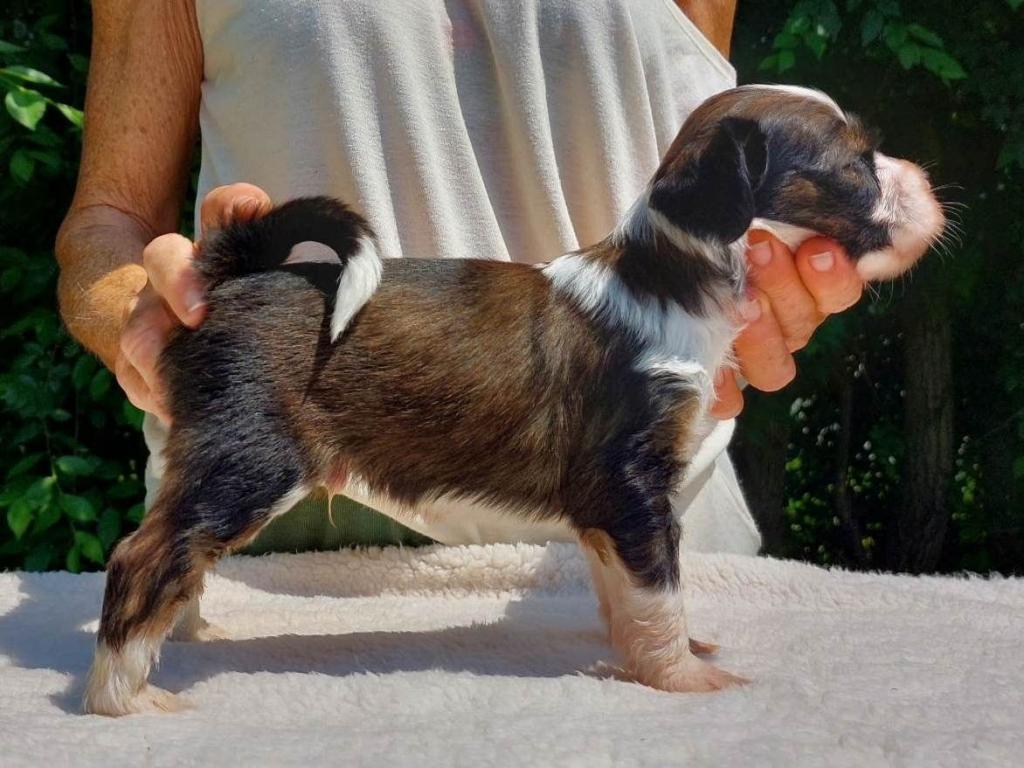 received_1050509322586259