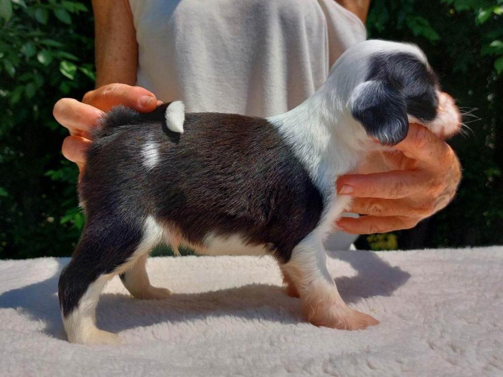 received_1246639562630894