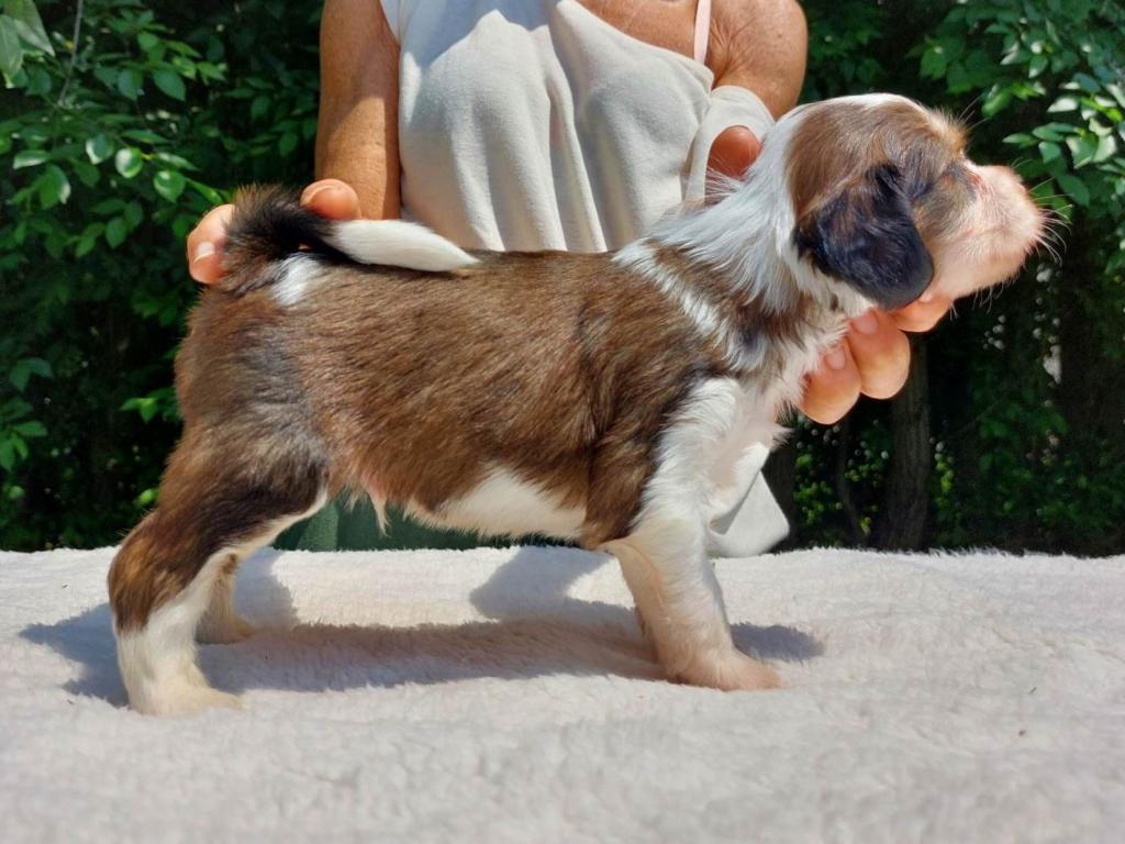 received_921694652454535