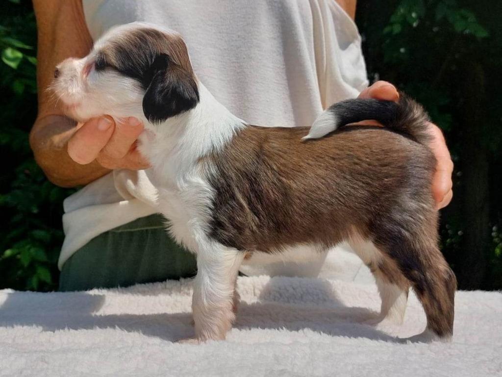 received_9269268373143775