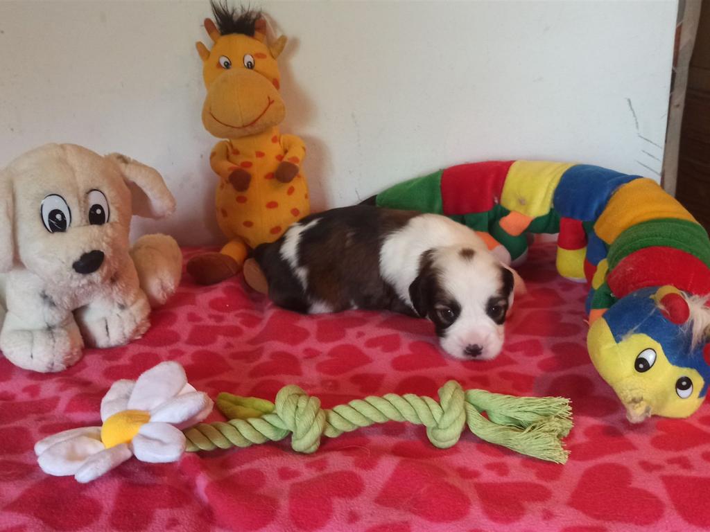 IMG_20250425_155453~2