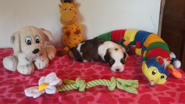 IMG_20250425_155453~2