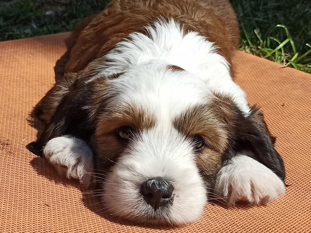 IMG_20250518_151259~2