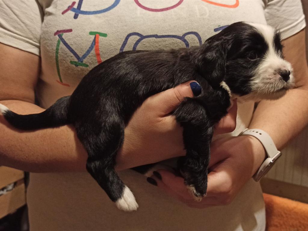 IMG_20260129_171421~2