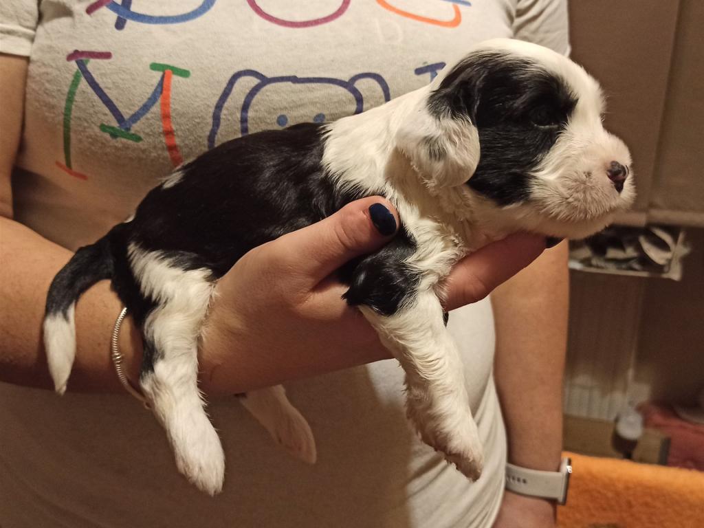 IMG_20260129_171706~2