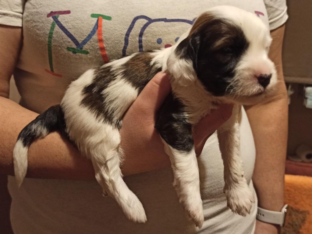 IMG_20260129_171820~2