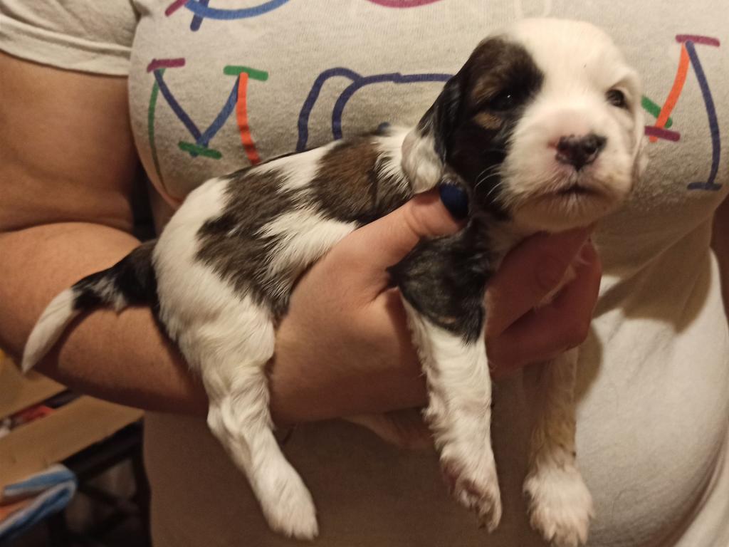 IMG_20260129_172004~2